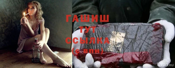 СК Новозыбков
