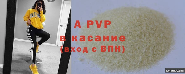 СК Новозыбков