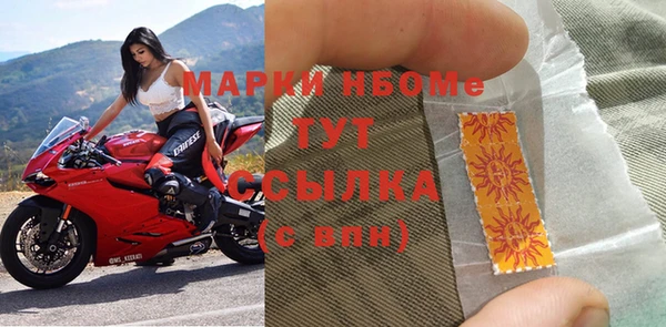 СК Новозыбков
