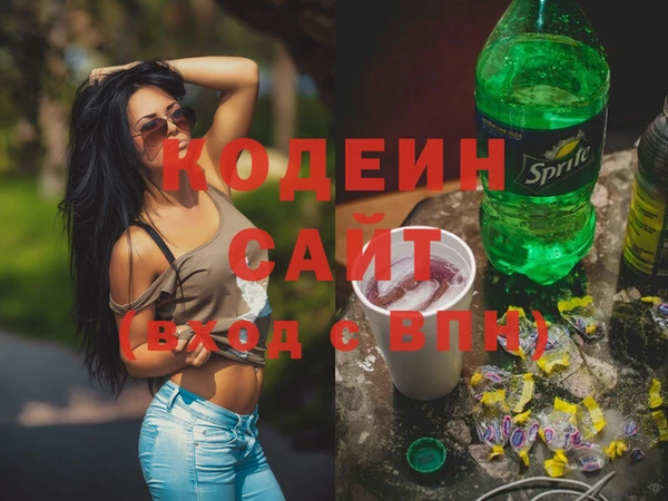 СК Новозыбков
