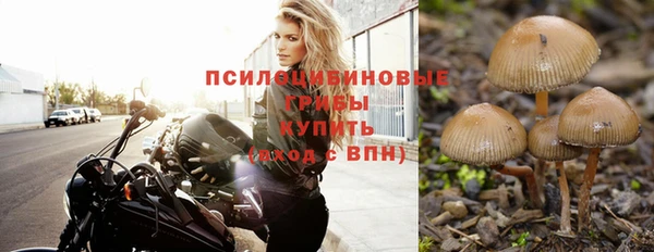 jwh Новодвинск